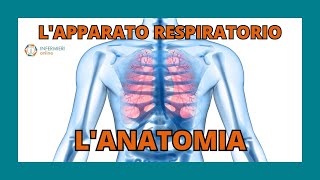 LAPPARATO RESPIRATORIO  LANATOMIA  INFERMIERI Online [upl. by Enuahs633]