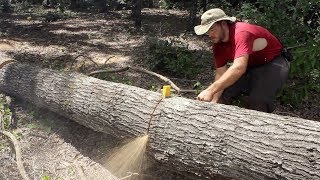 AMAZING Grain in a Quarter Sawn RED OAK [upl. by Turnbull113]