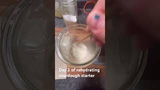 Day 2 of rehydrating sourdough starter sourdough bread homestead homemade [upl. by Gypsie]