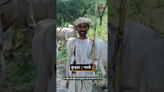 माता रानी की मूर्ति के दो मुंह हैं😳 maadurga uttarpradesh youtubeshorts [upl. by Yerrok]