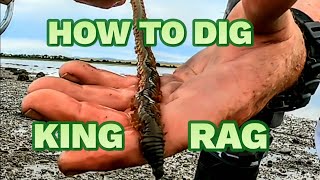 How to dig king Ragworm and why I hate my Brother [upl. by Ethelyn]