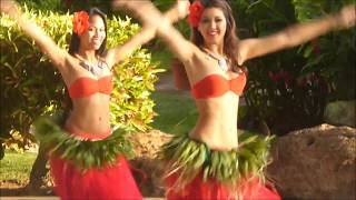 Hula Dancers in Poipu Kauai [upl. by Neelra]