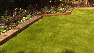 How to Care For and Maintain Lawns  Mitre 10 Easy As DIY [upl. by Bick806]