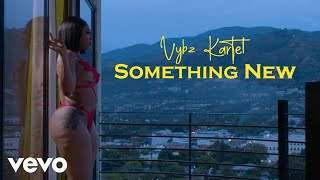 Vybz Kartel  Something New Official Music Video [upl. by Kreegar923]