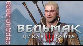 the Witcher 3  wild hunt ➡️ сердце леса ➡️ прохождение без комментариев № 18 [upl. by Aerbma]