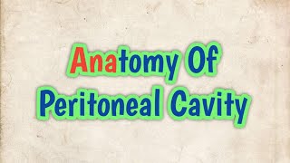 Anatomy of Peritoneal Cavity [upl. by Wager795]