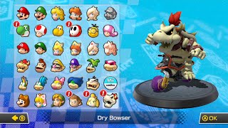 Mario Kart 8 All Characters [upl. by Huxham]