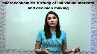 Microeconomics Versus Macroeconomics [upl. by Og586]