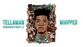 Tellaman Shekhinah Nasty C  Whipped Official Music Video TREZSOOLITREACTS [upl. by Namie672]