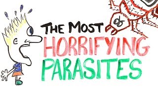 The Most Horrifying Parasites [upl. by Lidah]