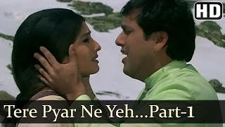 Tere Pyar Ne  Govinda  Raveena Tandon  Rajaji  Udit Narayan  Anand Milind  Hindi Hit Songs [upl. by Yslehc125]