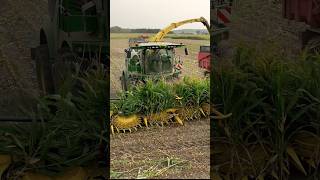 ensileuse John Deere unique 😍 agricomfrance ensilage [upl. by Keane]