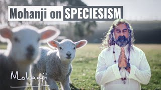 Mohanji on Speciesism How It Reflects in the World [upl. by Alwitt]