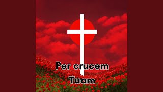 Per crucem Tuam [upl. by Aivatnohs]