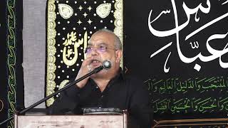 Athara Baras Ke Ali Akbar Ka Janaza  MOHARRAM 14462024  SYED AHSAN RIZVI [upl. by Nywnorb940]