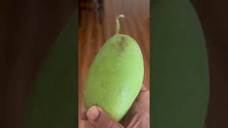 Mango price sydneycity expensivetelugushorts funnyvideo [upl. by Yecies778]