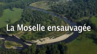 La Moselle ensauvagée [upl. by Prakash]