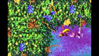 Donkey Kong Country 3GBA FULL GAMEPLAYPart 23 Cotton Top Cove Fish Food Frenzy [upl. by Ejroj]