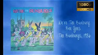 Were The Bunburys  Lyric Video HD [upl. by Connor]