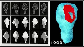 History of the Atlas of Ultrastructural Neurocytology  Josef Spacek 2018 [upl. by Anailuig]