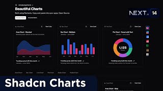 Shadcn Charts  Beautiful Charts Using Recharts in next Js [upl. by Lehar442]