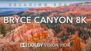 Driving Canyonlands National Park in 8K HDR Dolby Vision  Moab to Canyonlands Utah [upl. by Enidanreb]