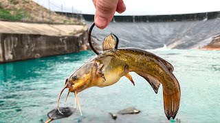 This Spillway was Hiding a MONSTER I FINALLY Caught One [upl. by Acired430]