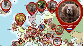 National Animals From Different Countries  Data Around The World [upl. by Seth]