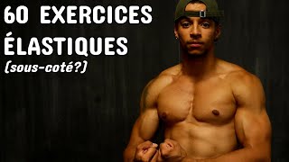 Les 60 MEILLEURS EXERCICES avec des ÉLASTIQUES pour TOUT LE CORPS prendre du muscle sérieusement [upl. by Aivun230]