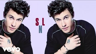 Shawn Mendes  If I Cant Have You Live On Saturday Night Live [upl. by Zima]