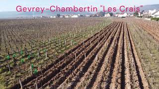 GevreyChambertin quotLes Craisquot en hiver [upl. by Rukna]