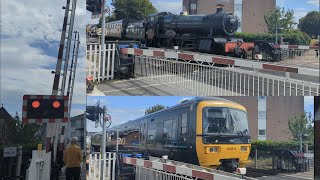 Steam and GWR Paignton South Level Crossing Devon 160724 [upl. by Sikleb]