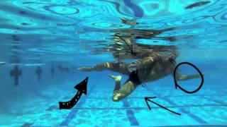 Water Polo ODP Reverse Sculling [upl. by Meghann]