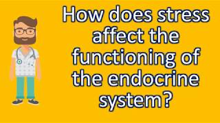 How does stress affect the functioning of the endocrine system  Mostly Asked Health Questions amp An [upl. by Clancy]