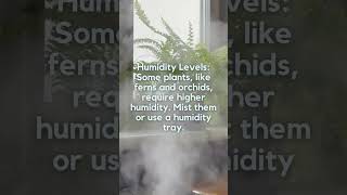 Humidity for Indoor Plants botany plant houseplant [upl. by Sievert]