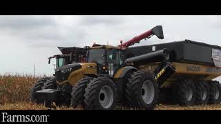 Great Farm Progress Show 2017 Harvest Demonstrations  Combines Tractors and Grain Carts [upl. by Wera953]