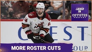 Coyotes Make More Roster Cuts Ahead of End of Preseason [upl. by Borchers119]