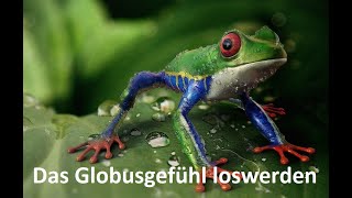 Das Globusgefühl  Den Frosch im Hals  Kloß im Hals endlich loswerden [upl. by Atnoed732]