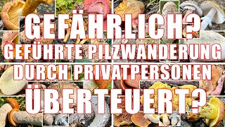 Gefahren durch amp Wucher bei geführten Pilzwanderungen durch Privatpersonen  Pilzexperten erkennen [upl. by Ahsiel]