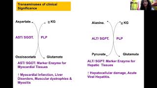 TRANSAMINATION amp DEAMINATION REACTIONS OF AMINO ACID [upl. by Edie420]