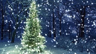 10 Hours Snowfall on Christmas Tree in the Woods  Video amp Audio 1080HD SlowTV [upl. by Polinski]