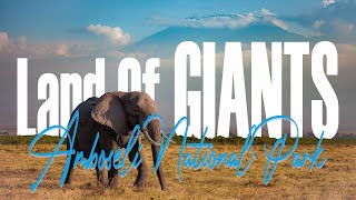 Amboseli National Park  Land of Giants  AA Lodge  TWOgetherGoesTo  BirdGeeks  LaxaTrails Safari [upl. by Aland]