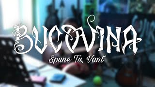 Bucovina Spune Tu Vant  Acoustic Guitar Cover feat Adina [upl. by Malonis]