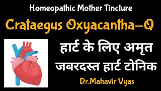 Crataegus OxyacanthaQ  Homeopathic Mother Tincture  DrMahavir Vyas [upl. by Bollinger]