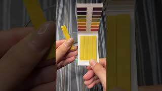 Is your shampoo safe  PH test of shampoo ytshorts viralvideo phtest [upl. by Nadbus]