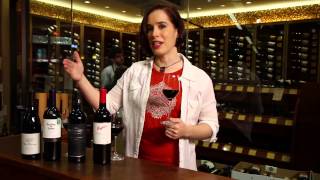 Pinot Noir Merlot Cabernet Sauvignon Shiraz Syrah  Red Wine Guide [upl. by Moberg78]