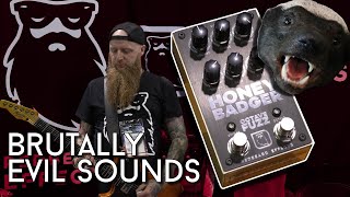 The Badger bites at NAMM Redbeard FX [upl. by Nnaerb]