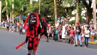 Bocas Carnival Devils [upl. by Peppel]