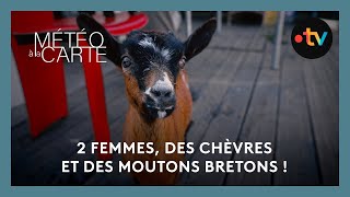 Rencontre  2 femmes des chèvres et des moutons bretons [upl. by Atterg780]