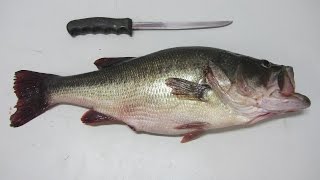 HOW TO FILLET A BASS [upl. by Kanal]